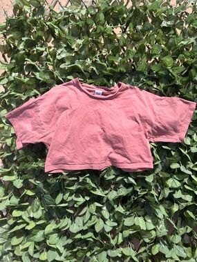 Tna Dusty Rose Cropped Tee